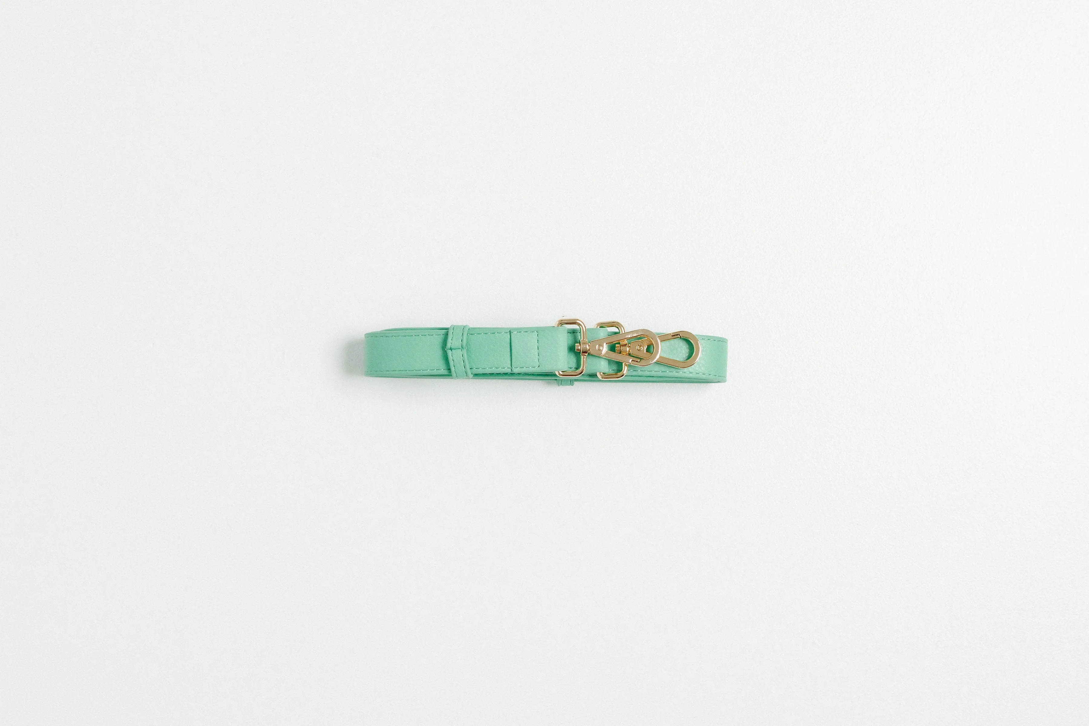 Bag Strap - Mint