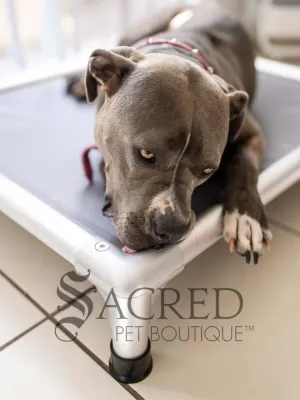 ChewProof Dog Beds