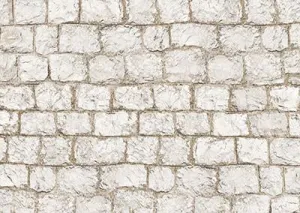 Cobblestone White Washed Floor-rf