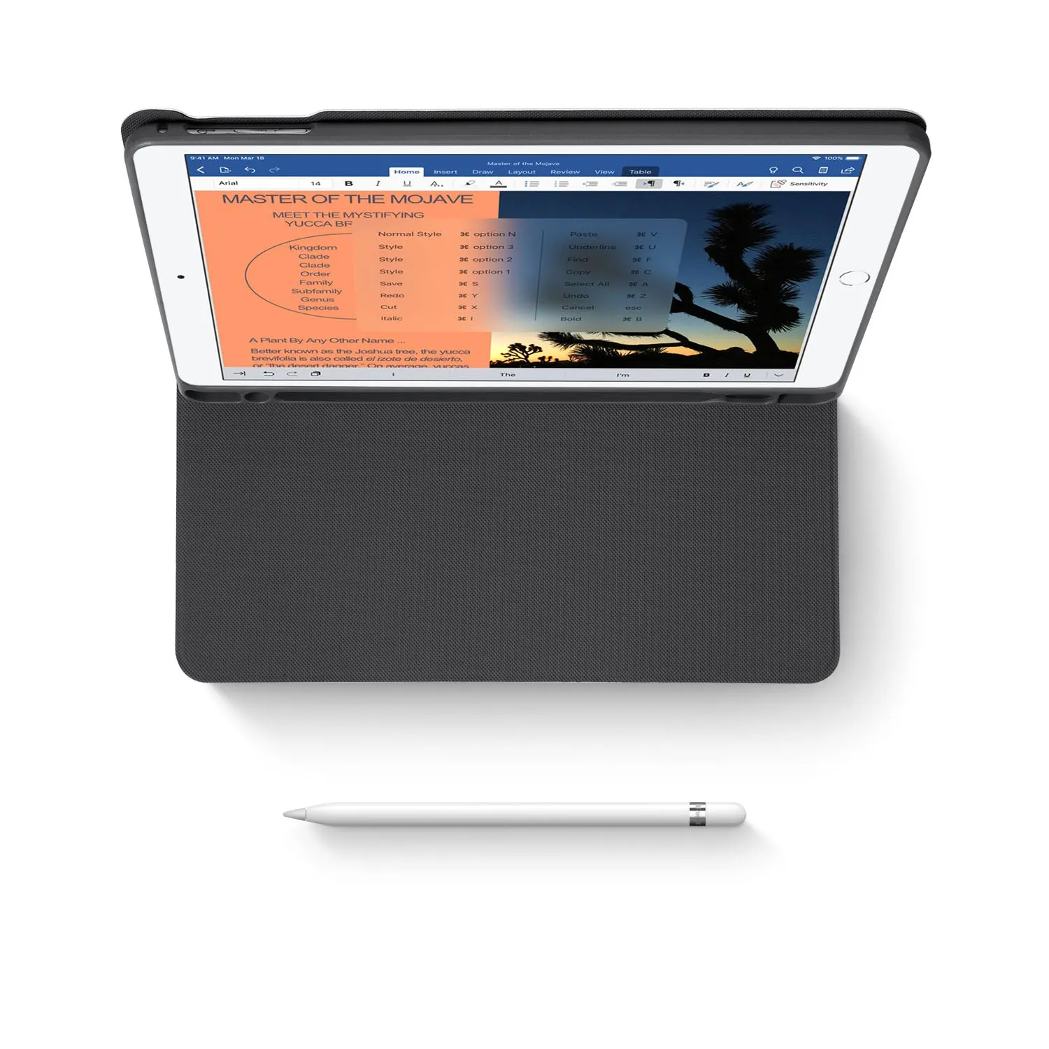 iPad Folio Case - Space