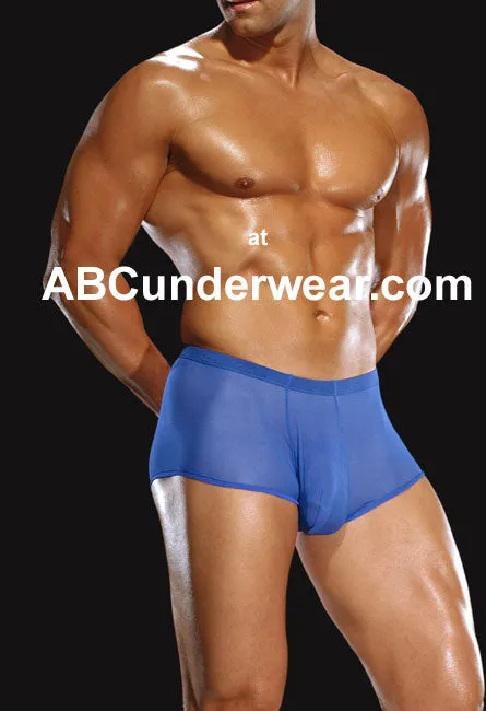 Luxurious Sheer Silk Boxer Briefs