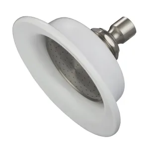Luxurious Spray Sunflower Shower Head in Brushed Nickel