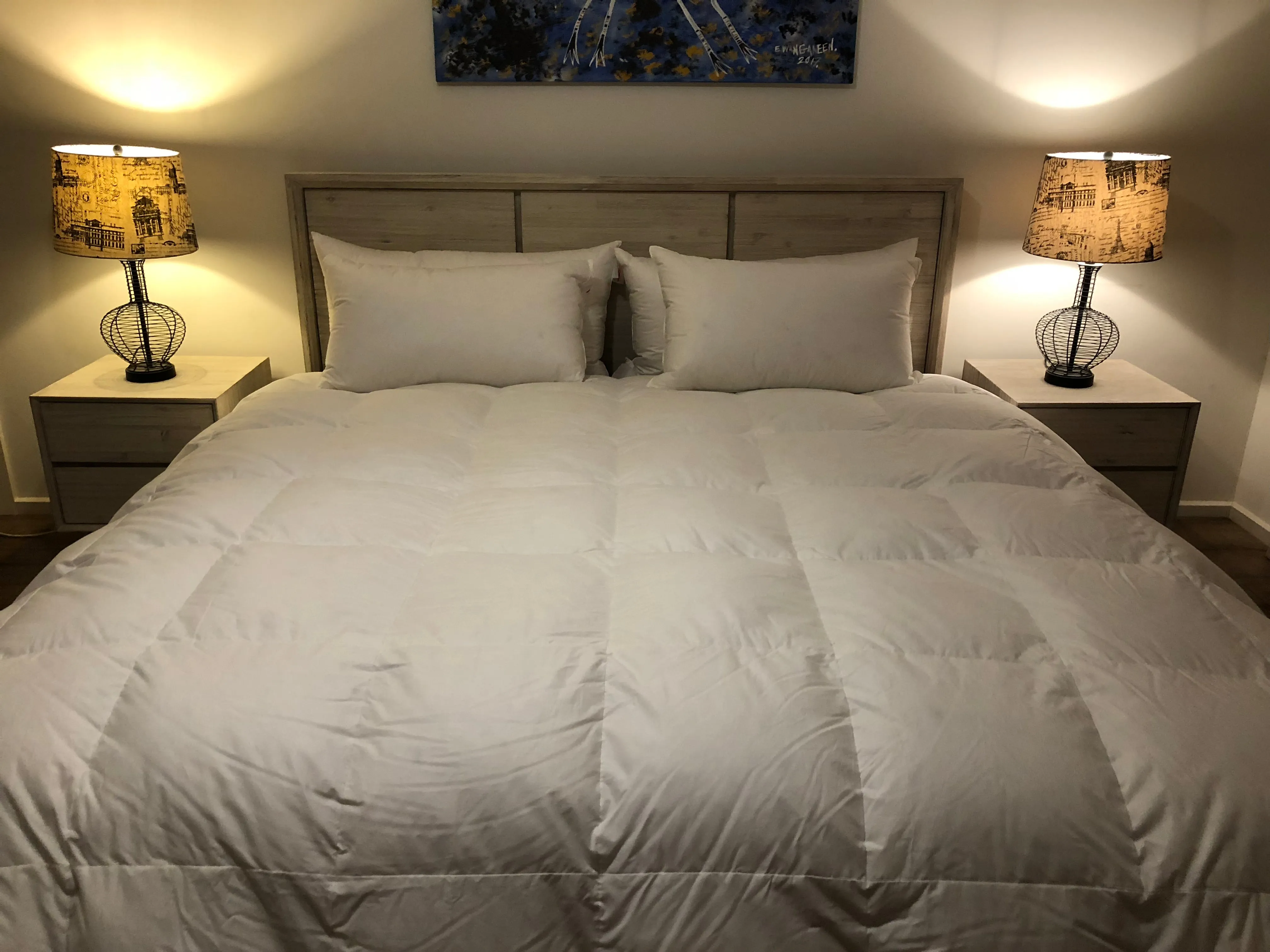 Queen Size Quilt Baffle Boxed 95% White Polish Mother Goose Down 5 Blanket Warmth 900 Fill Power