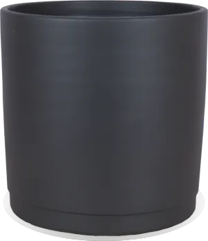 Saar (32cm)