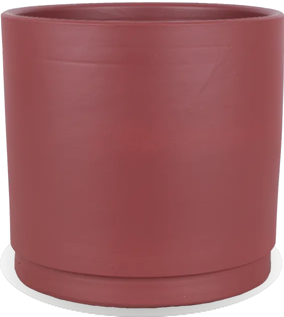 Saar (32cm)