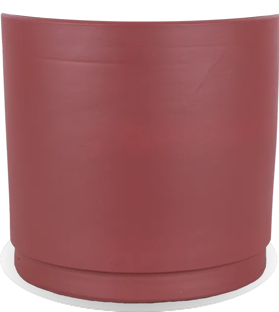 Saar (32cm)