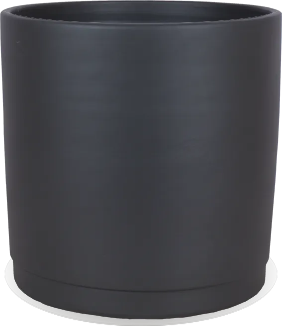 Saar (32cm)