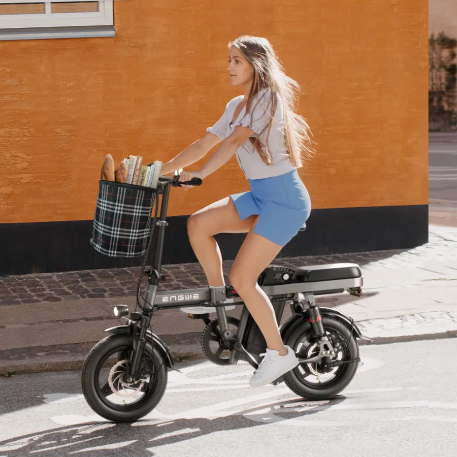 T14 Foldable Ebike