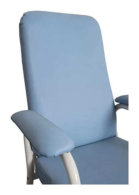 Ultra Comfort Ergoback Day Chair